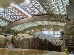 -杭州开元森泊度假乐园