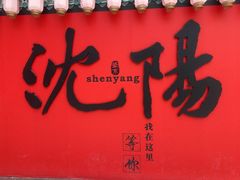 -中街·盛京龙城