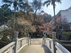 -广东温泉宾馆