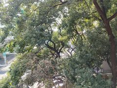 -马王堆汉墓遗址