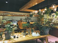 -柴务处·柴犬主题狗咖