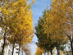 -龍歌自助小火锅(兰山上海路万达店)