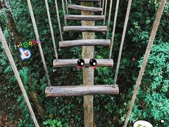 -西双版纳原始森林公园