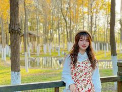 -艾溪湖湿地公园