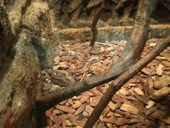 -皇家极地海洋世界-售票处