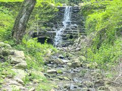 -素山寺森林公园