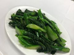 -新陶陶酒家