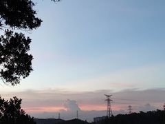 -深圳仙湖植物园