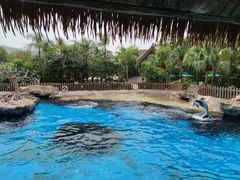 -珠海长隆海洋王国