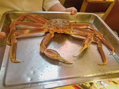 -綱元·海鲜豆捞(明州里店)