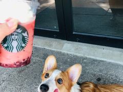 -星巴克(绍兴柯桥柯岩景区店)