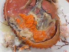 膏蟹-盈田盈粥庄(黄兴公园店)