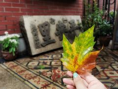 -古董花园(思南路42弄小区店)