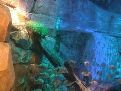 -沈阳海洋探索中心