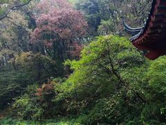 -句容茅山景区