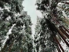-太阳湾风景区