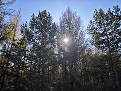 -塞罕坝国家级自然保护区