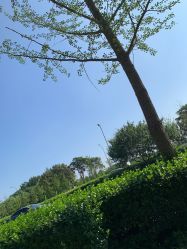 -HEYAN长风荷妍专业脱毛美肤
