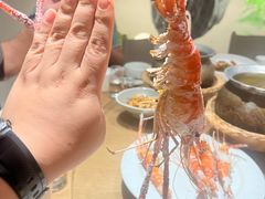 -隅乐胡椒虾·台湾菜·团建(皇岗店)