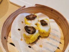 -千灯盛汇·头牌粤菜(致越优城店)