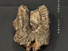 -北京周口店北京人遗址博物馆