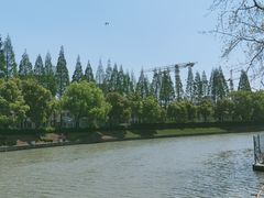 -嘉定紫藤园