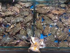 -王四营海鲜市场