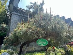 -吴敬梓故居
