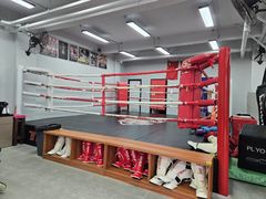 -TFC 纯泰拳馆MuayThai