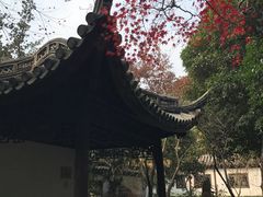 -汇龙潭