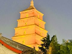 -秦始皇帝陵博物院(兵马俑)