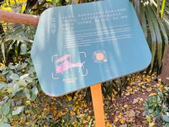 -北极阁公园
