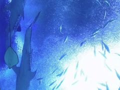 -珠海长隆海洋王国
