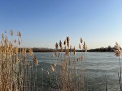 -野鸭湖国家湿地公园