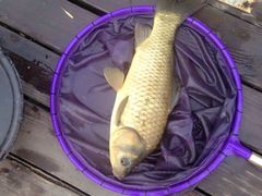 -酷鱼垂钓CLUB(朝阳区博大路店 )