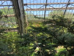 -南山植物园