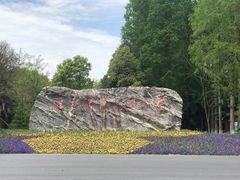 -东平国家森林公园