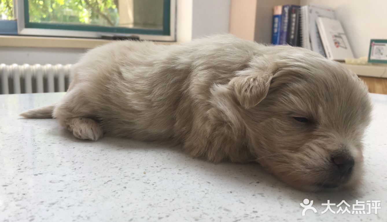 你要乖一点，我想你的一生都有我[爱心]