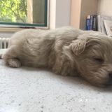 你要乖一点，我想你的一生都有我[爱心]