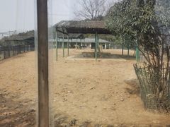 -无锡动物园·太湖欢乐园