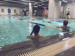 -金吉鸟健身游泳