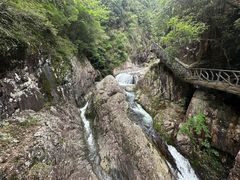 -龙湾潭国家森林公园
