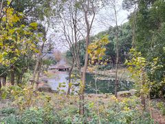 -同里国家湿地公园