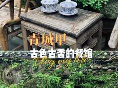 -青城甲(青城山店)