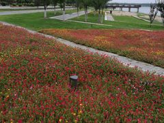 -武清南湖绿博园