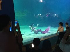 -常州海昌海洋探索馆