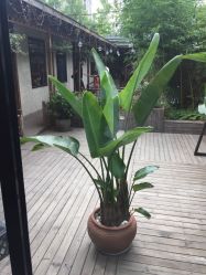 点击看大图 -爱儿美儿童摄影(朝阳公园店)