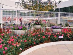 -深圳国际园林花卉博览园