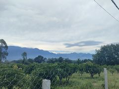 -海南霸王岭国家森林公园