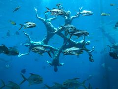 美人鱼-瑞德姆美人鱼海底演艺主题餐厅(亚龙湾店)